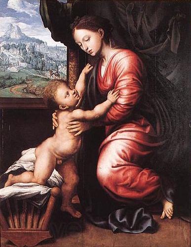 Jan van Hemessen Virgin and Child France oil painting art